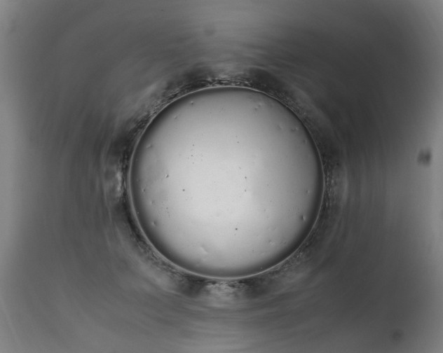 X0000111450703200907201049