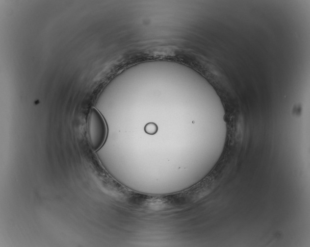 X0000111450704200907201049