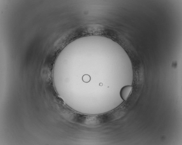 X0000111450705200907201049