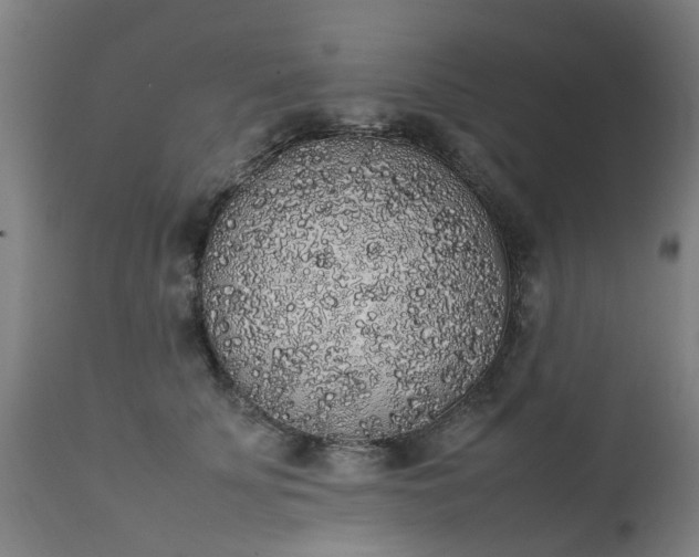 X0000111450707200907201049