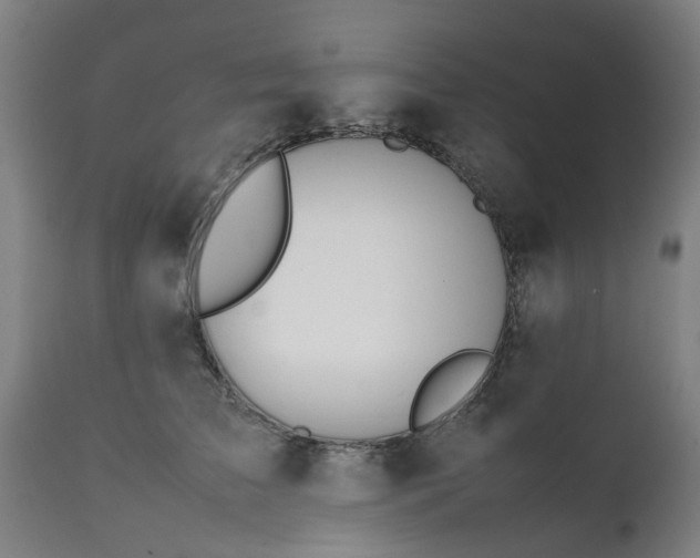 X0000111450709200907201049