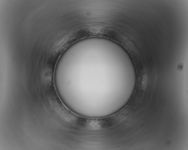 X0000111450710200907201049