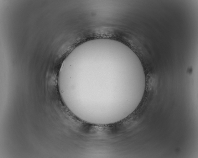 X0000111450713200907201049