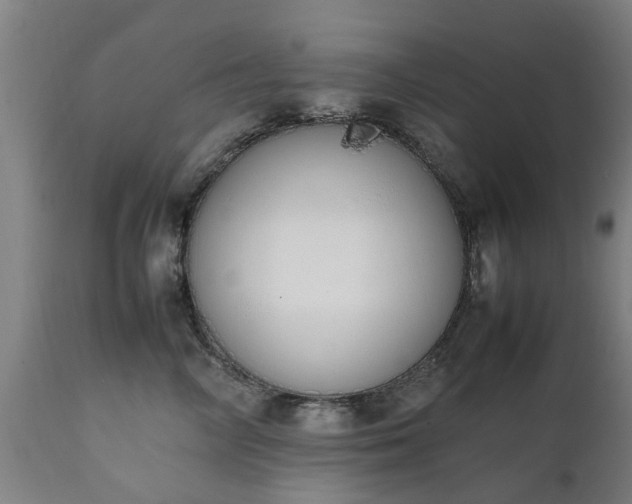 X0000111450714200907201049