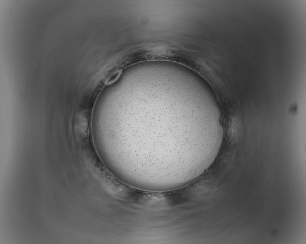 X0000111450715200907201049