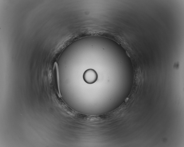 X0000111450716200907201049