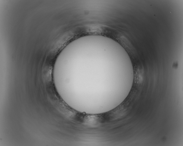 X0000111450717200907201049