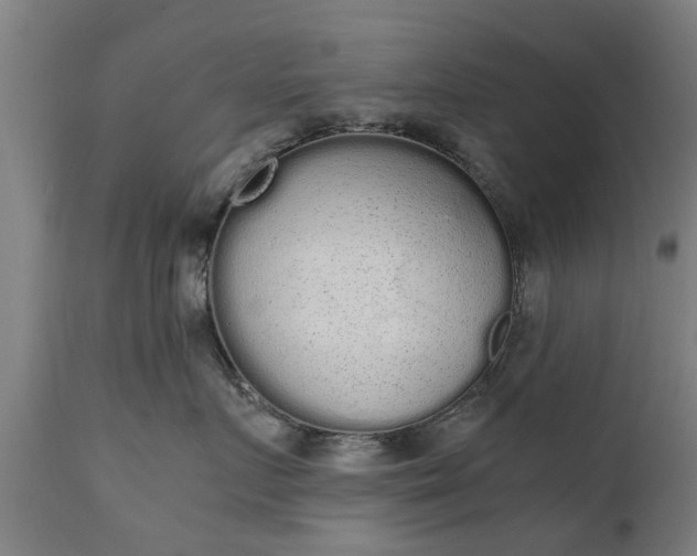 X0000111450719200907201049