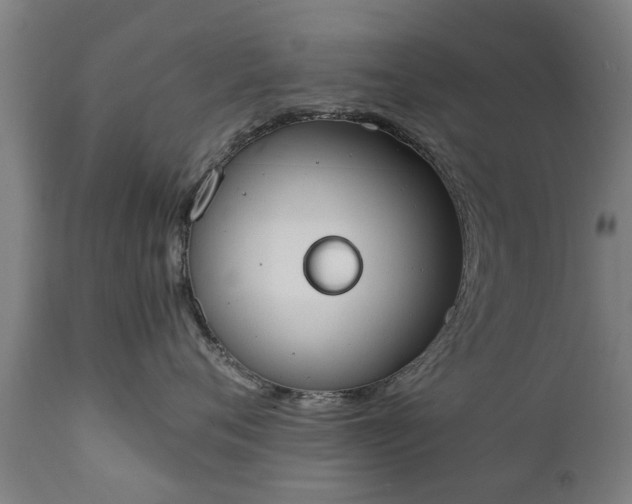 X0000111450720200907201049