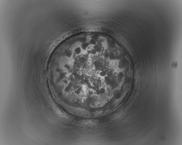 X0000111450721200907201048