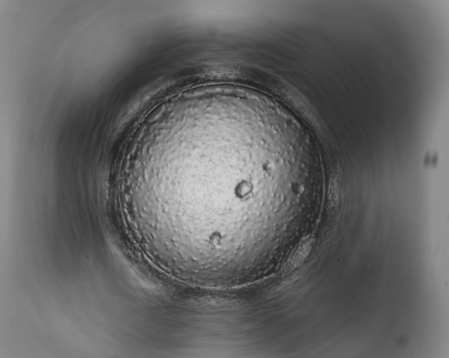X0000111450722200907201048