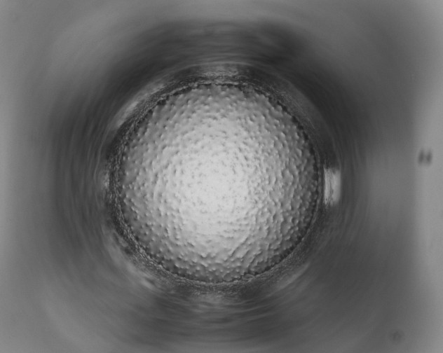 X0000111450723200907201048