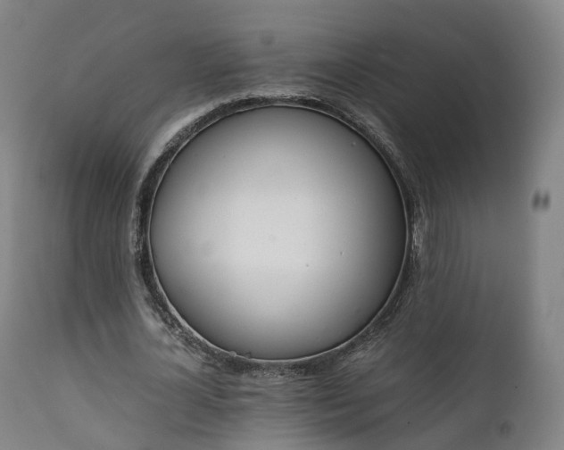X0000111450724200907201048