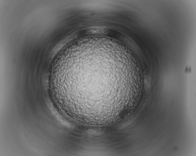 X0000111450725200907201048