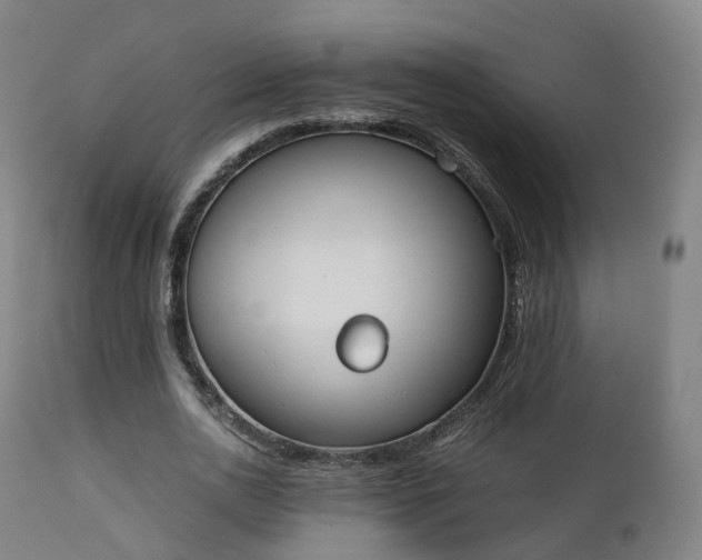 X0000111450726200907201048