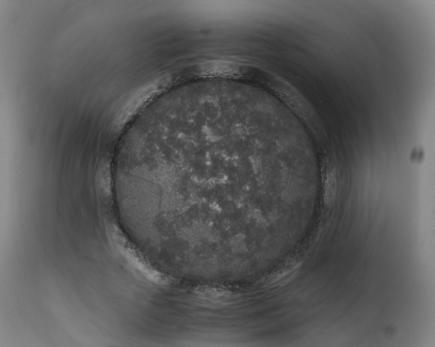 X0000111450729200907201048