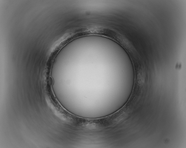 X0000111450730200907201048