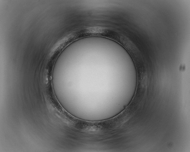 X0000111450731200907201048