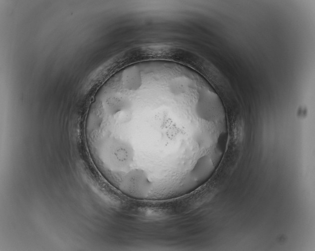 X0000111450733200907201048