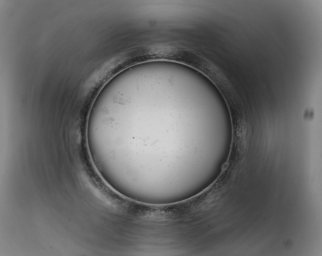 X0000111450734200907201048