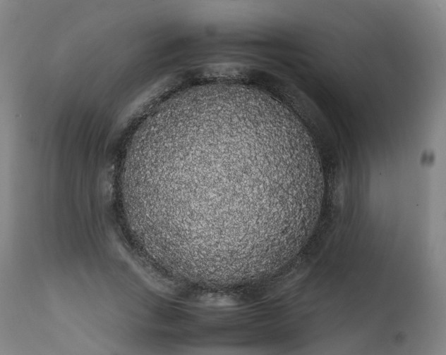 X0000111450735200907201048