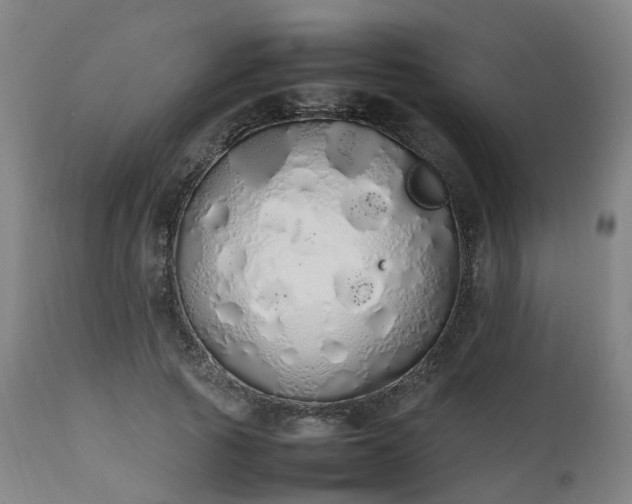X0000111450737200907201048