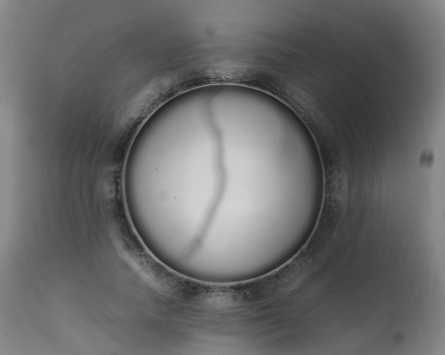X0000111450738200907201048