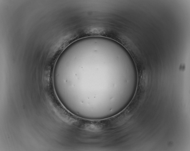 X0000111450739200907201048