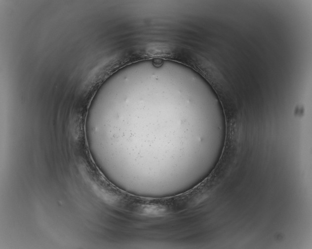 X0000111450741200907201048
