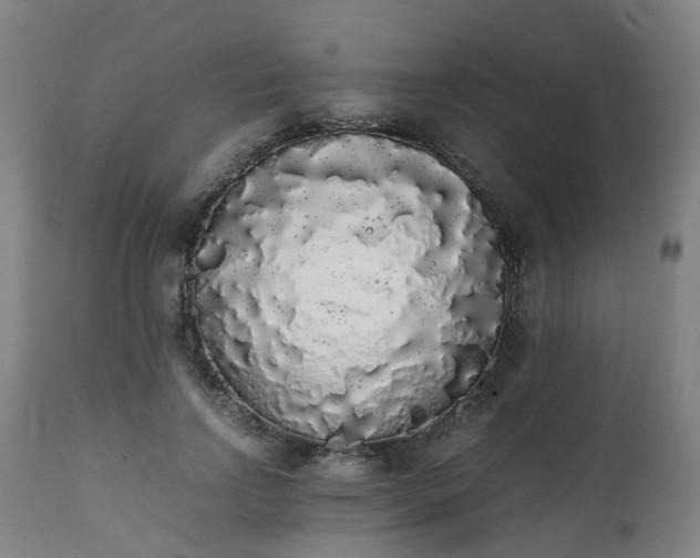 X0000111450742200907201048