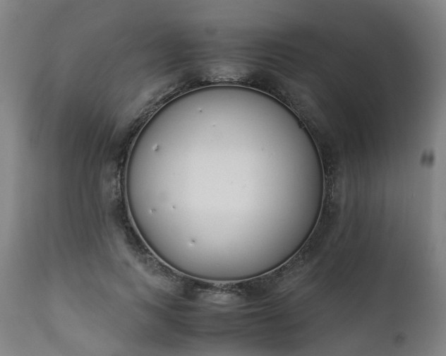 X0000111450743200907201048