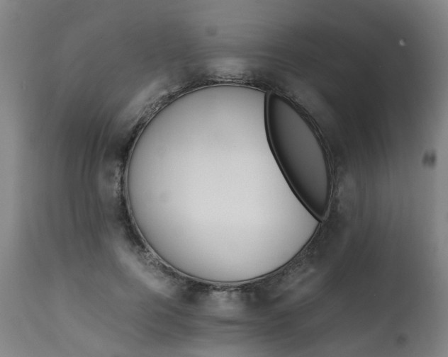 X0000111450744200907201048