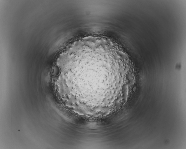 X0000111450746200907201048