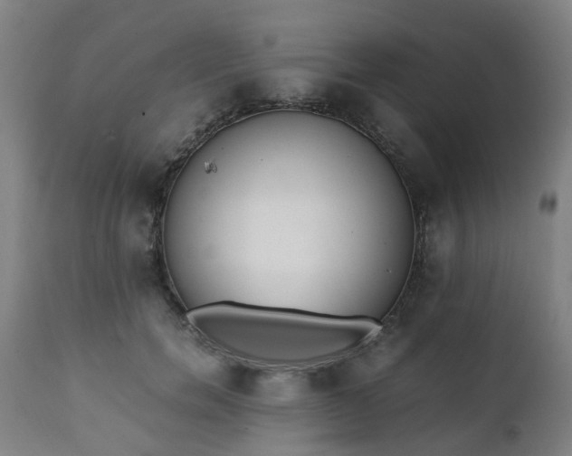 X0000111450750200907201048