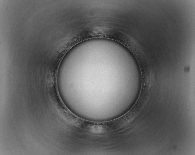 X0000111450751200907201048