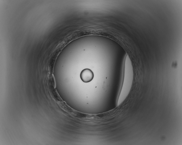 X0000111450752200907201048