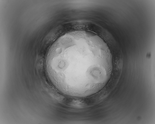 X0000111450753200907201048
