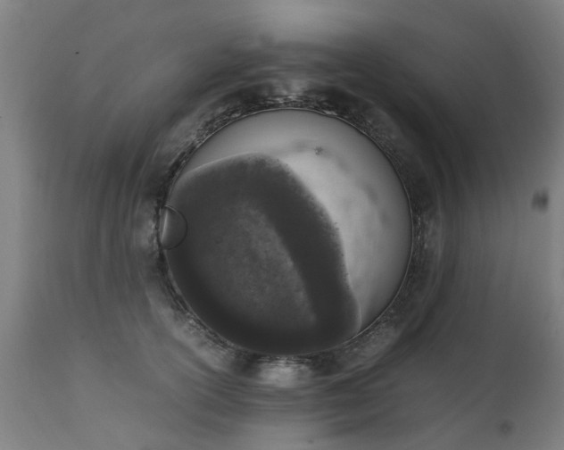 X0000111450754200907201048