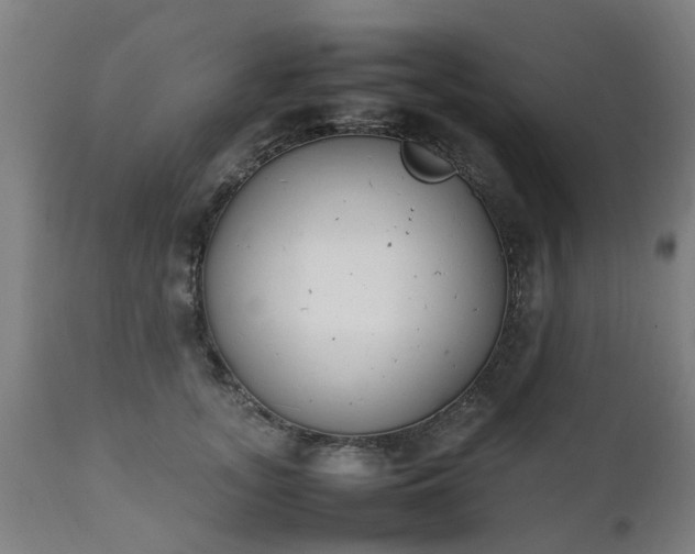 X0000111450755200907201048