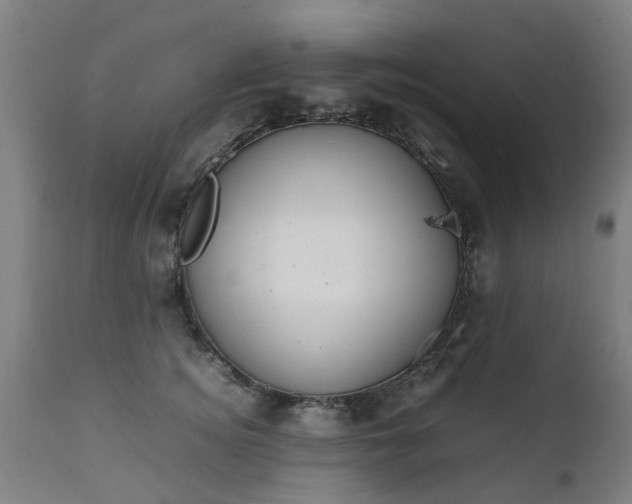 X0000111450756200907201048