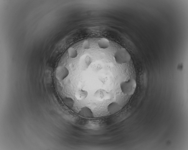 X0000111450757200907201049