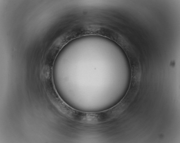 X0000111450758200907201049