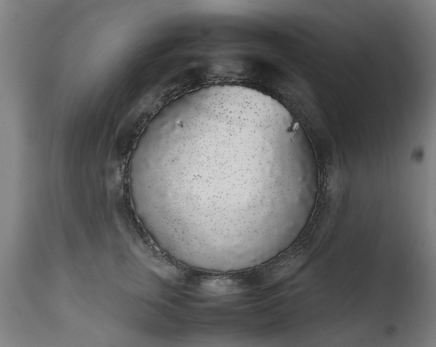 X0000111450759200907201049