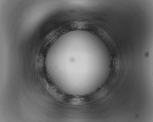 X0000111450760200907201049