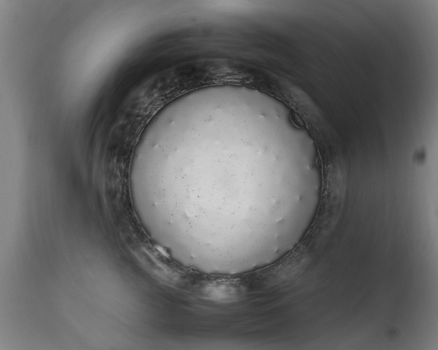 X0000111450761200907201049