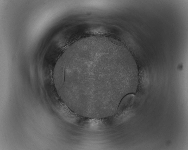 X0000111450762200907201049