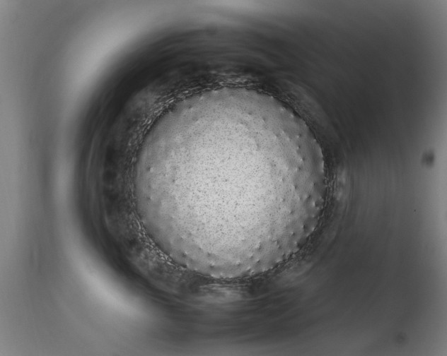 X0000111450763200907201049