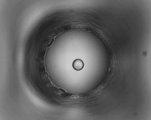 X0000111450764200907201049