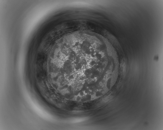 X0000111450765200907201049