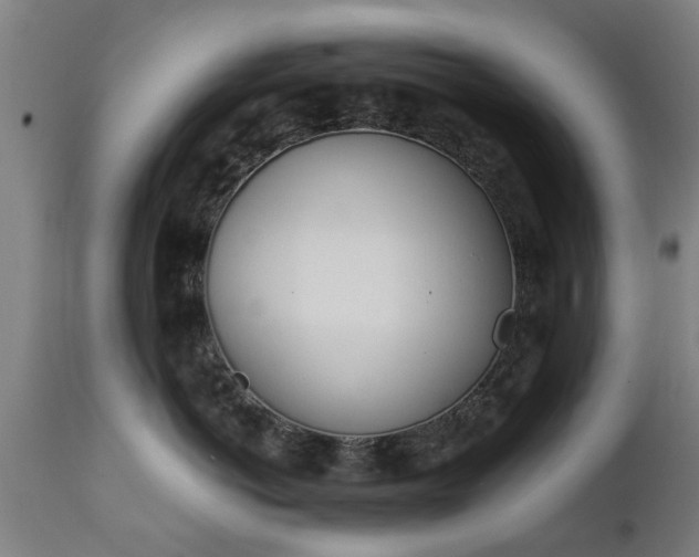 X0000111450766200907201049